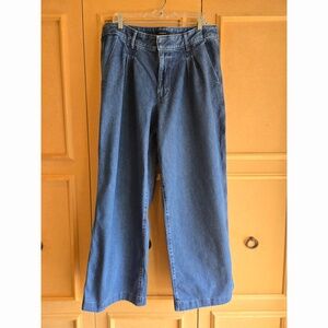Banana Republic Denim Trouser Jeans